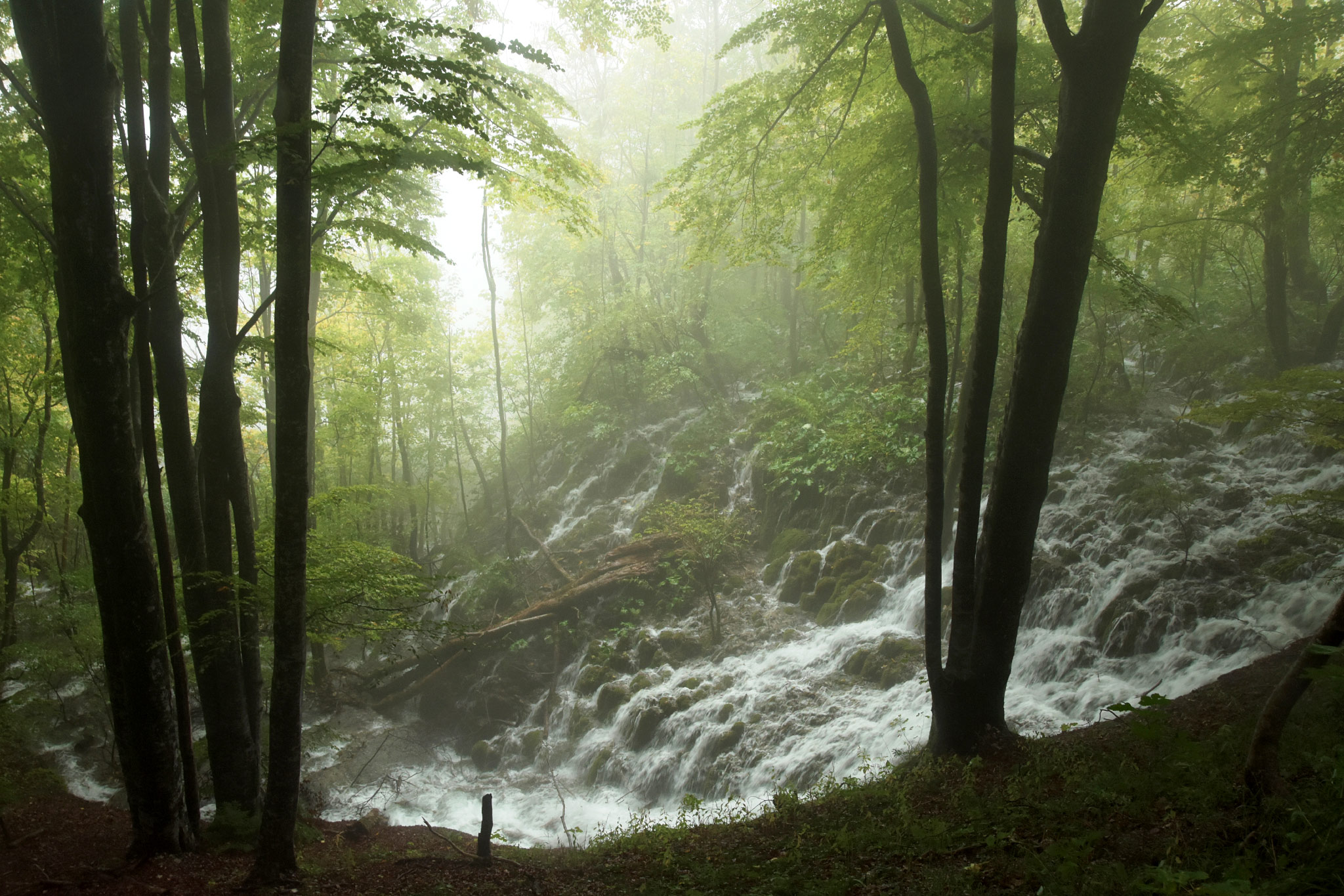 Plitvice Lakes N.P.